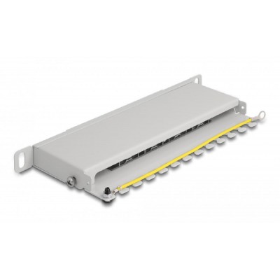 DELOCK patch panel 66871 για καμπίνα δικτύου 10 DELOCK patch panel 66871 για καμπίνα δικτύου 10