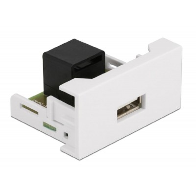 DELOCK module USB σε RJ45 Easy 45 81344, 22.5x45mm, λευκό DELOCK module USB σε RJ45 Easy 45 81344, 22.5x45mm, λευκό